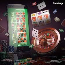 337 platform interface showing slot games, live dealer tables, and sportsbook features integrated in one dashboard